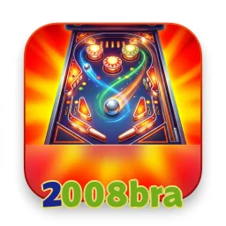 2008bra