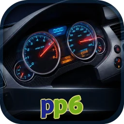 pp6